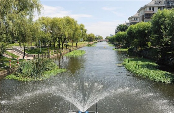 农村水生态修复之栖息地构建