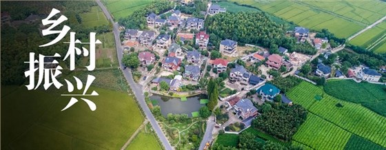 乡村振兴之农村生活污水治理