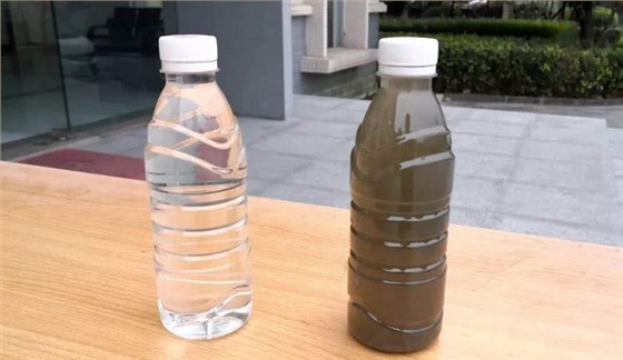 污水处理前后对比